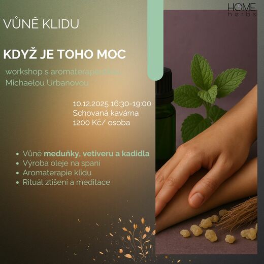 Prosinec workshop.jpg